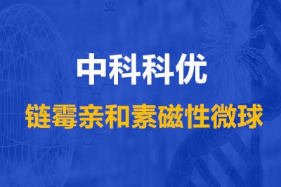 链霉亲和素磁珠是什么？链霉亲和素修饰磁性微球形态。
