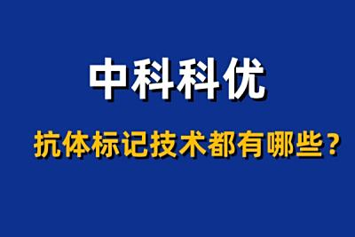 抗体标记技术都有哪些？