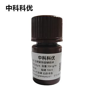 中科科优 生物素琼脂糖微球 生物素修饰琼脂糖凝胶微球 多尺寸定制 