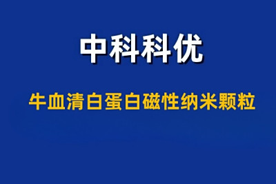 牛血清白蛋白磁性纳米颗粒BSA@Fe3O4的作用。